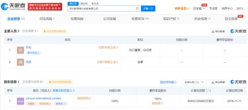 技術(shù)咨詢 問(wèn)題解決與效率提升的關(guān)鍵